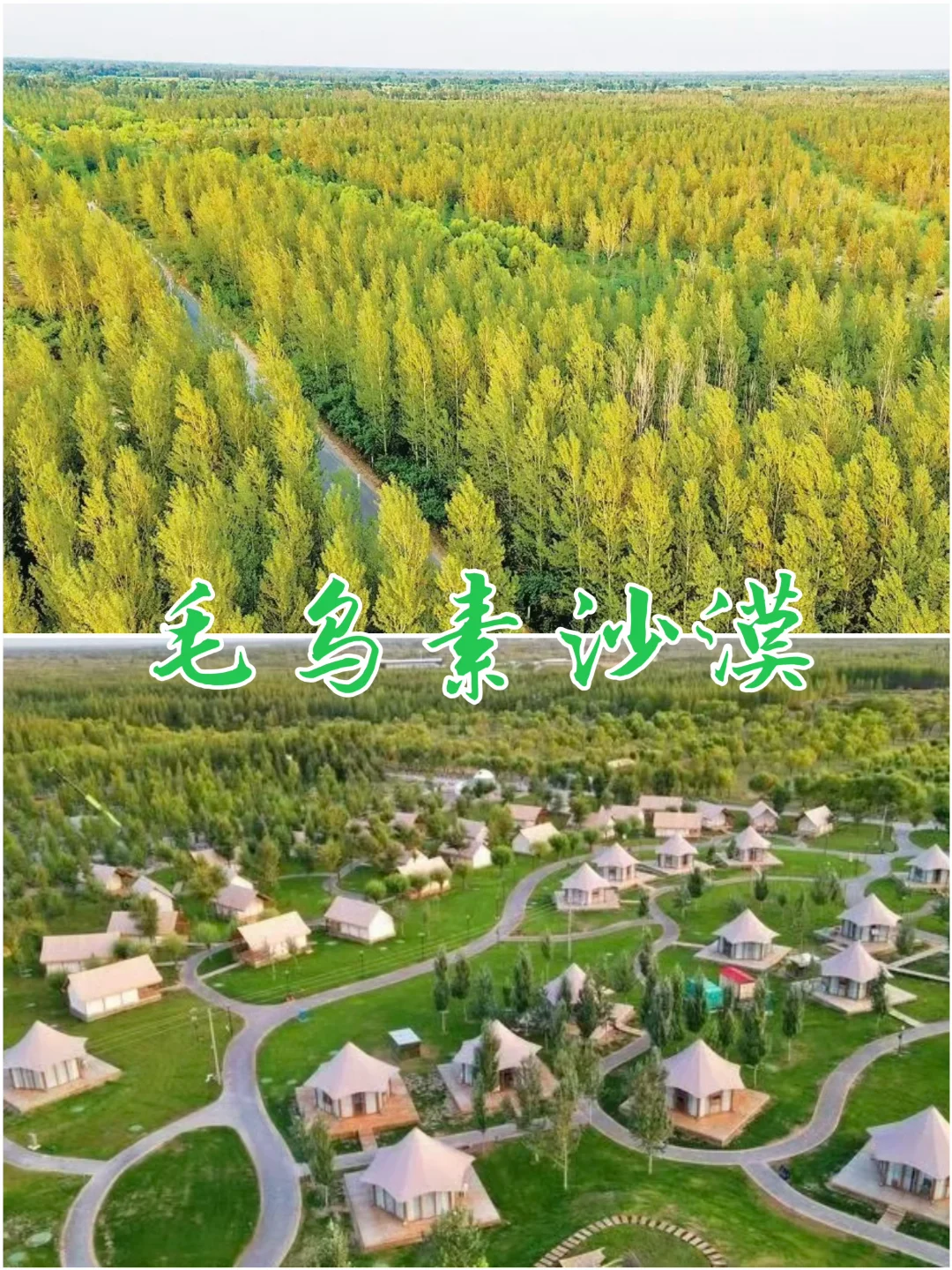 🌿毛乌素沙漠的绿野仙踪～