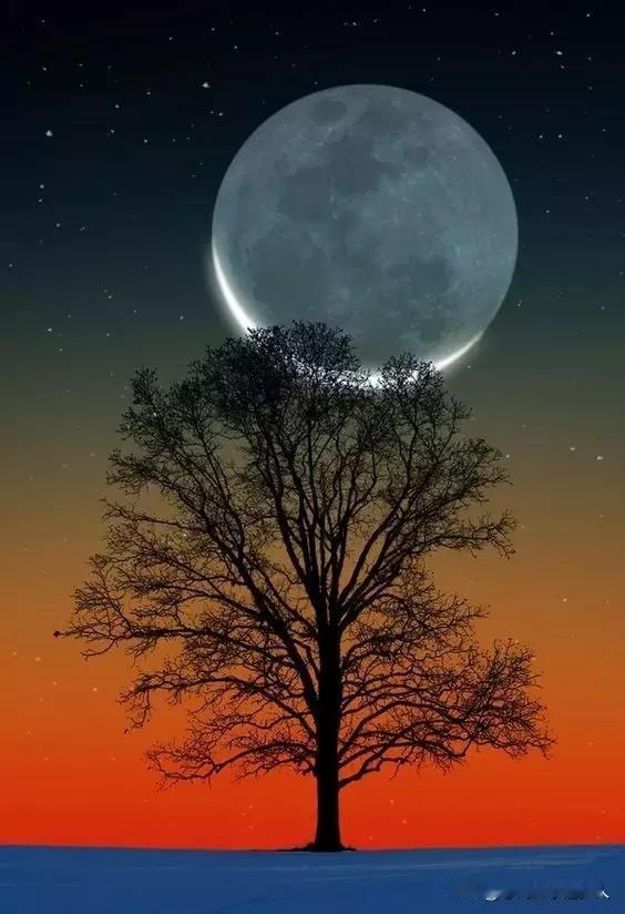 老辈人常说“最怕中秋一日雨”，其实是藏着对日子的盼头和实在的担忧。中秋本是