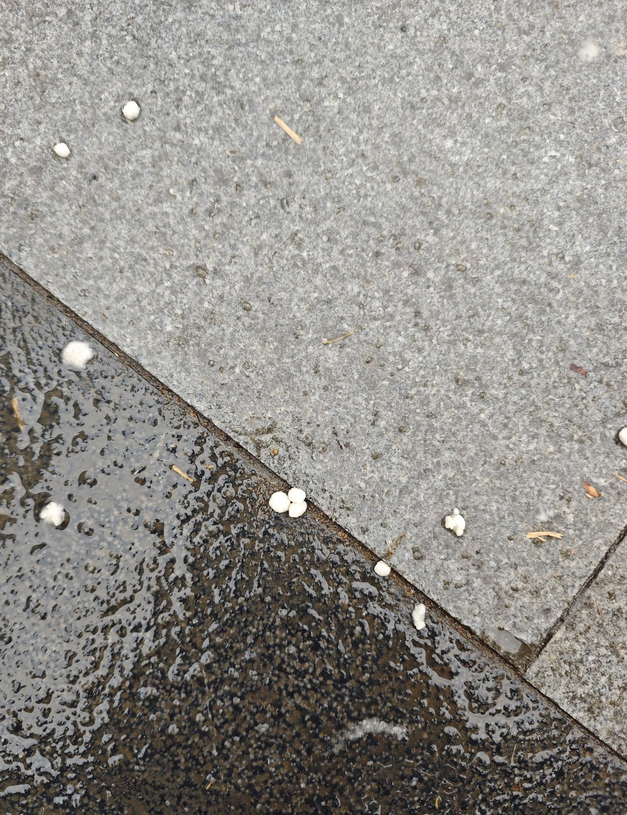 2026年了，还在纠结这事的人，基本可以闭眼买纯电了。看数字，新能源占比都干