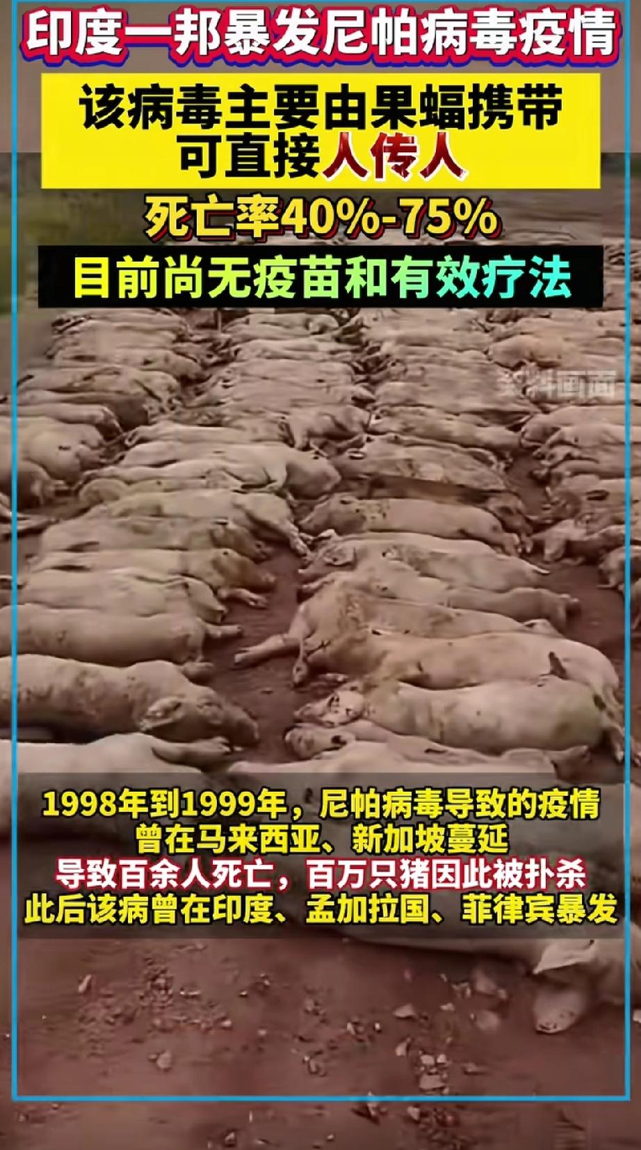 1月26日消息！印度爆发尼帕病毒疫情！最近这段时间，印度西孟加拉邦爆发了尼帕