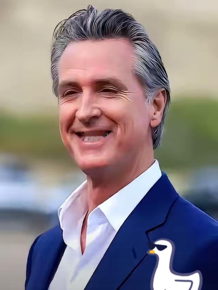 太敢了美国州长为对华贸易起诉联邦政府美国加州州长纽森为维护与中国的贸易往来，