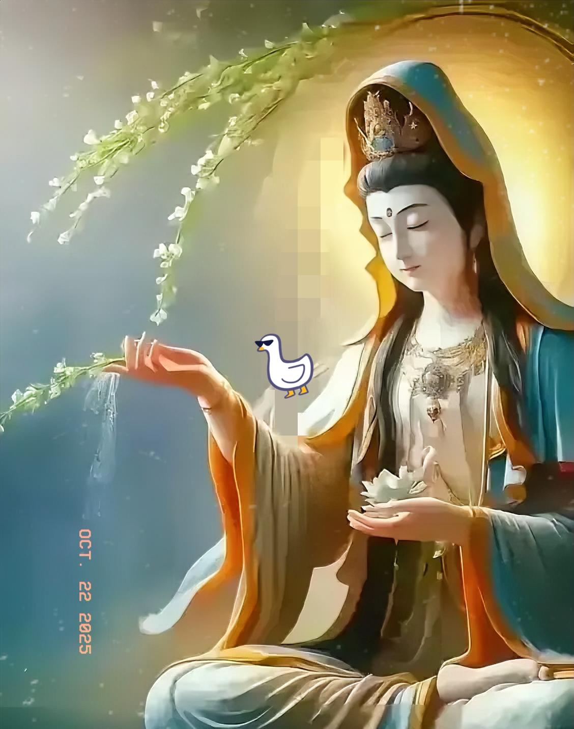没有人能替你悟，悟不是结论，而是一次次碰触真相的疼。那些刷到的“人生指