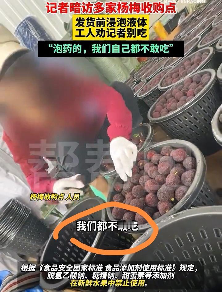 “追回问题杨梅才540公斤”，这数据是认真的吗？记得当初记者深入暗访10余家杨梅