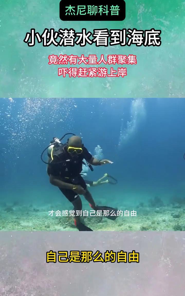 杰尼聊科普：小伙潜水看到海底竟然有大量人群聚集，吓得赶紧游上岸。小伙子在潜水的