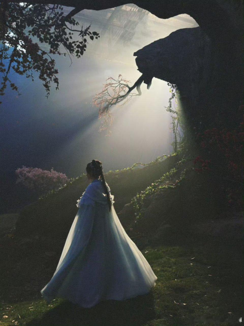 神隐想念我家阿音了