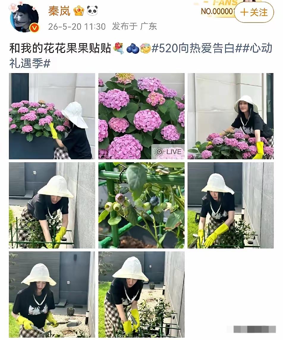 5月20日，秦岚在社交平台分享在院子里修剪花草的照片，并配文:“和我的花花草草贴