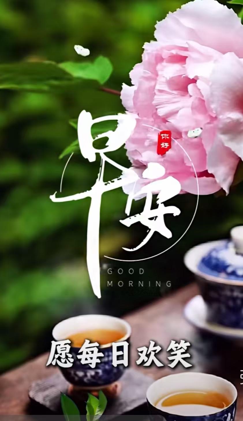 清晨問候雖然短，牽掛惦念金裝滿，曉得彼此都安好，距離雖遠也溫暖。早安吉祥