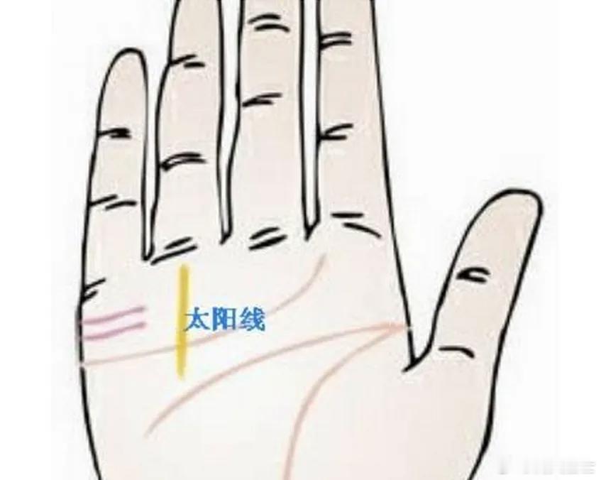 手相藏锋格；手相看，往往掌肉厚实，但线条不张扬，就是掌心有肉，按压下有弹性，看起