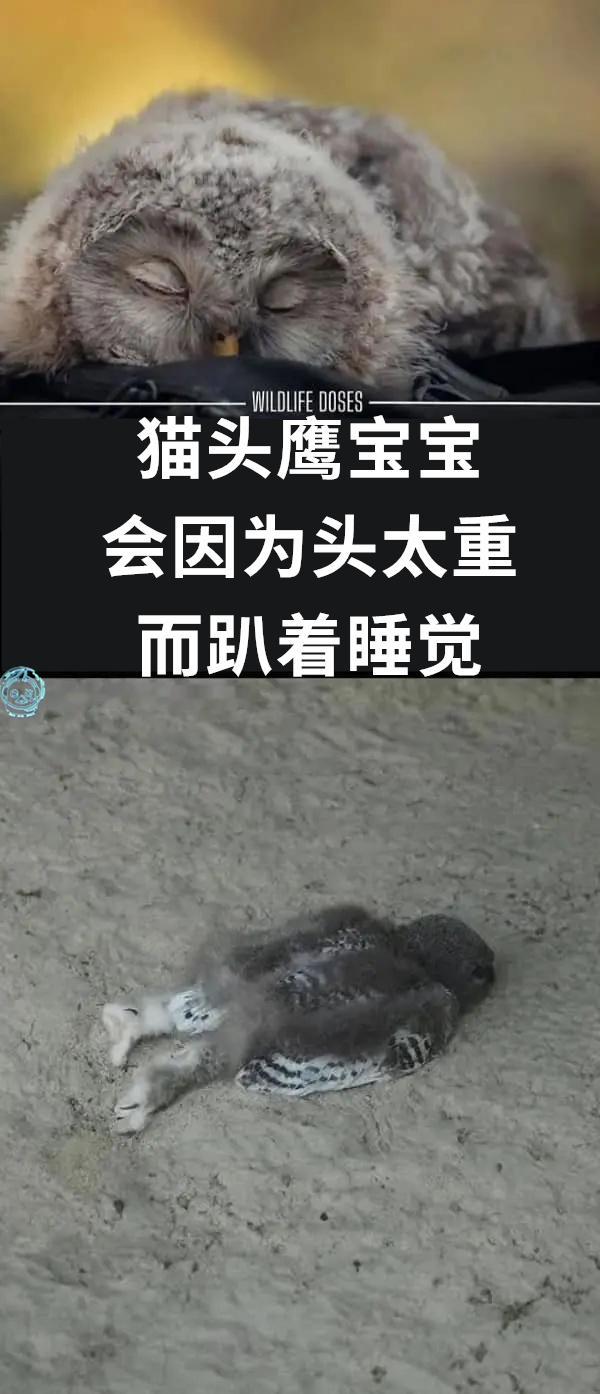 思考太多（9gag）哎呀