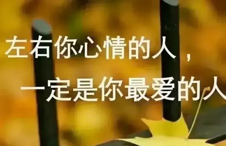 你知道吗？感情这东西，是最折磨人的，加上了，聊上了，爱上了，最后慢慢成为了一种