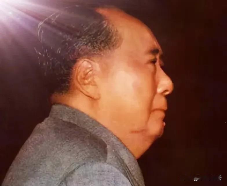 王震、徐向前到晚年才理解毛主席，说明毛主席看问题比上将、元帅远得多，如果只为眼前