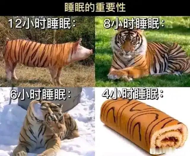 这就是睡眠的重要性[捂脸哭]