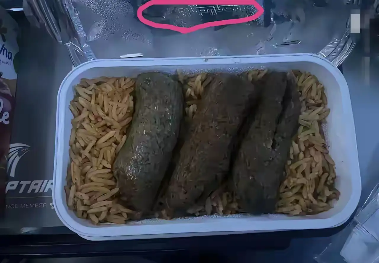 印度，某航空公司的飞机餐，果然很印度