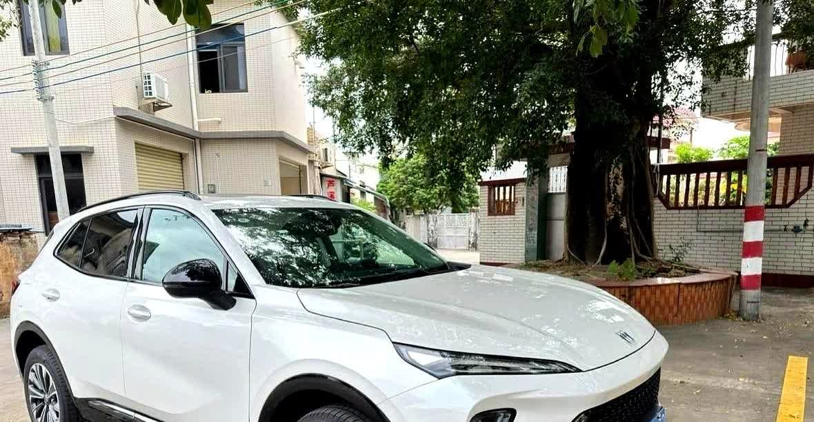 在此奉劝大家千万不要油车换电车！我就是一个活生生的例子！之前开别