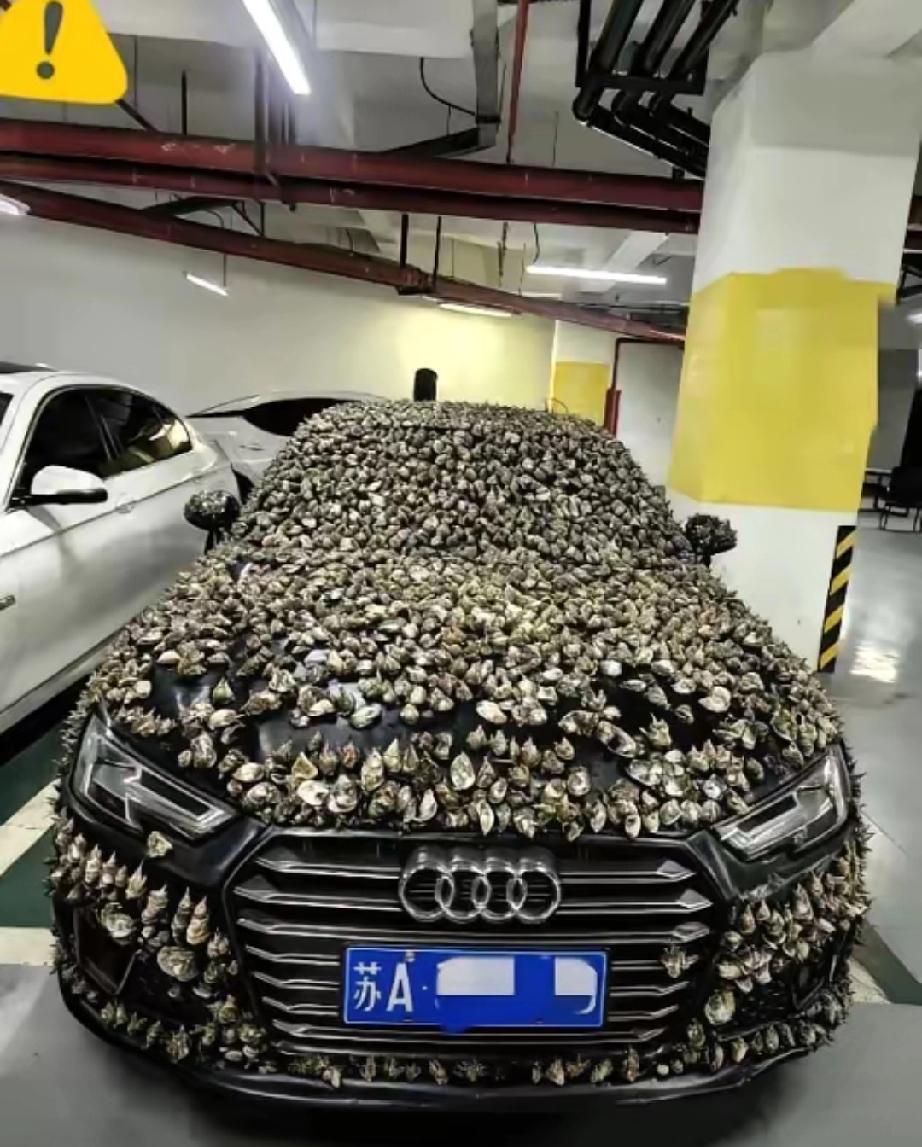 一分钱不要，也得让你长记性！”业主车位被霸占10天，一怒之下做了这种事。他没有找