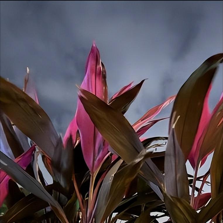 今天  北京：执纪审查1人 12月27日下午5:00，该市：执纪审查1人，