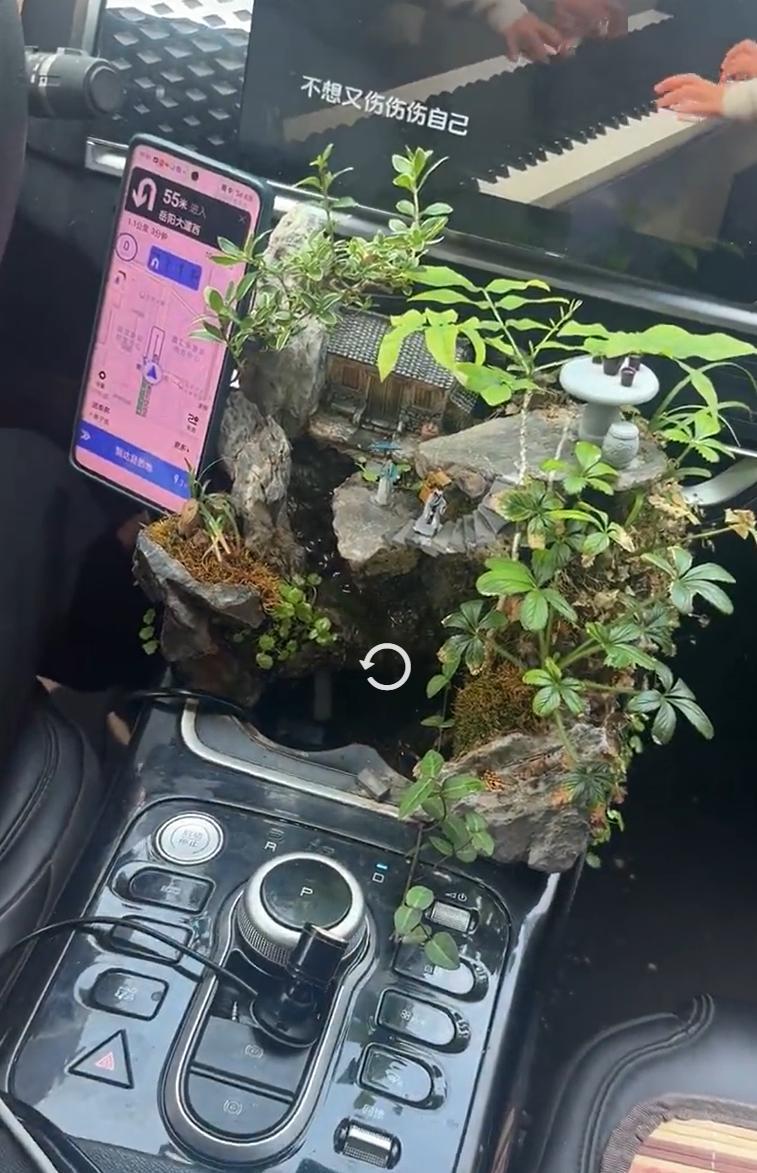 大哥，车里还缺鱼缸吗[抠鼻][抠鼻][抠鼻]