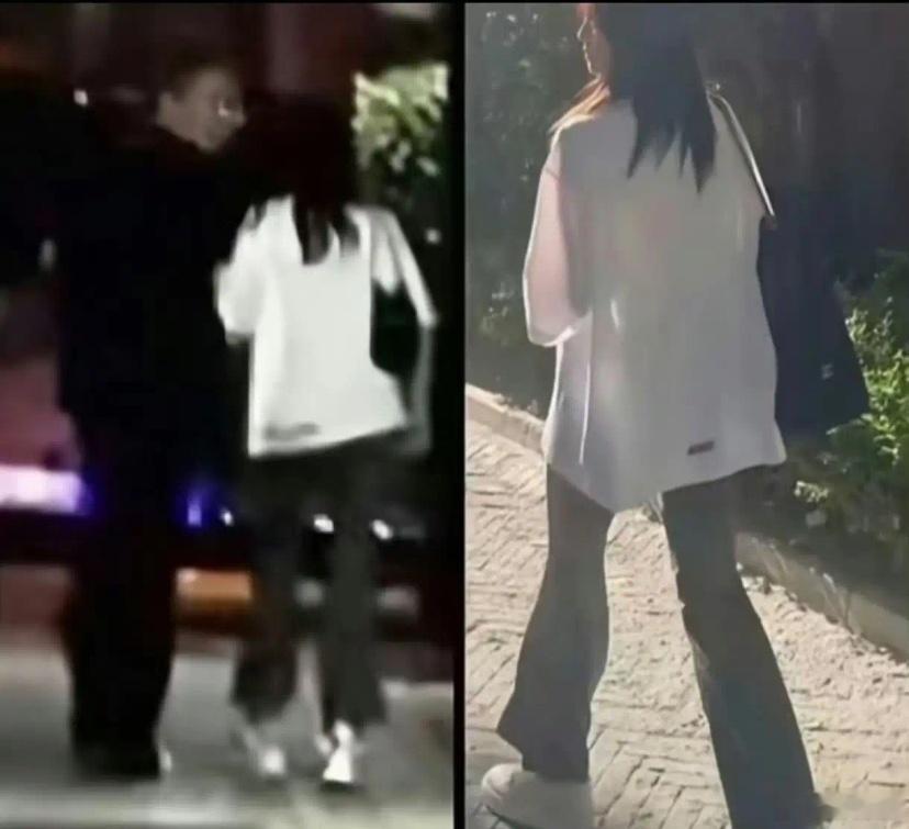 这个爆恋情和导演的下面，白鹿和杨紫粉丝打起来了白鹿粉丝现在怎么到处攻击别人？我这