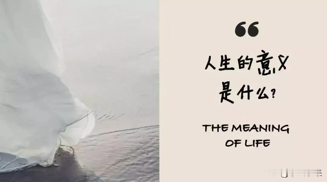 钱没了慢慢赚人没了就一切都没了！为了碎银几两去拼命不值当没意义。人生