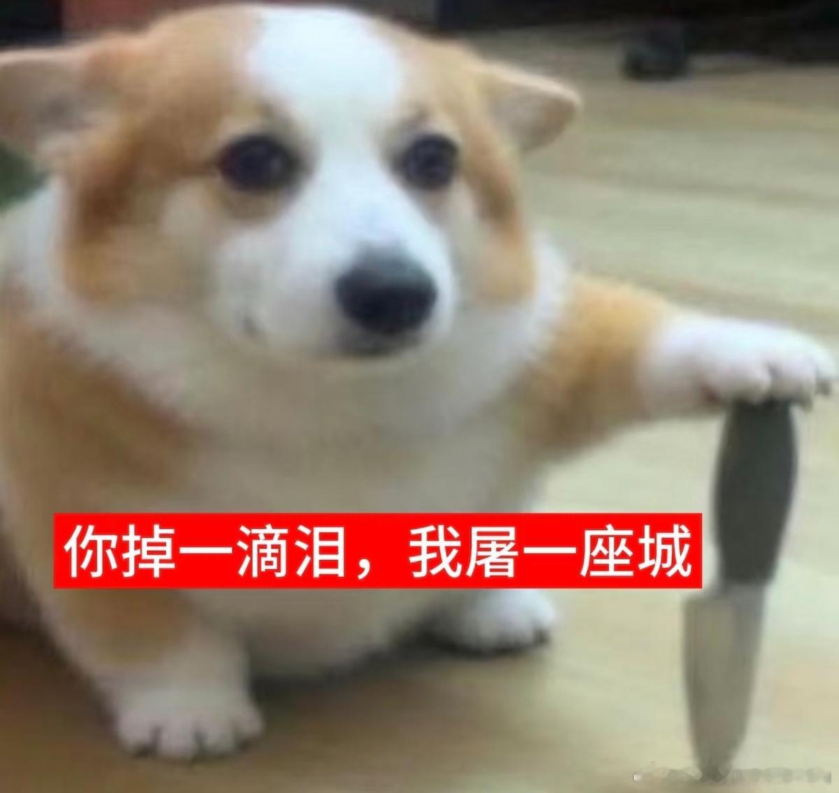 我今天下午还是要出门的​​​
