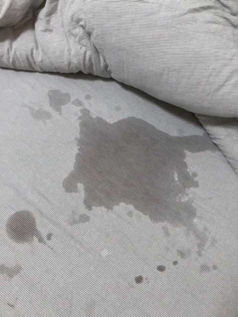 每次见面都要这样