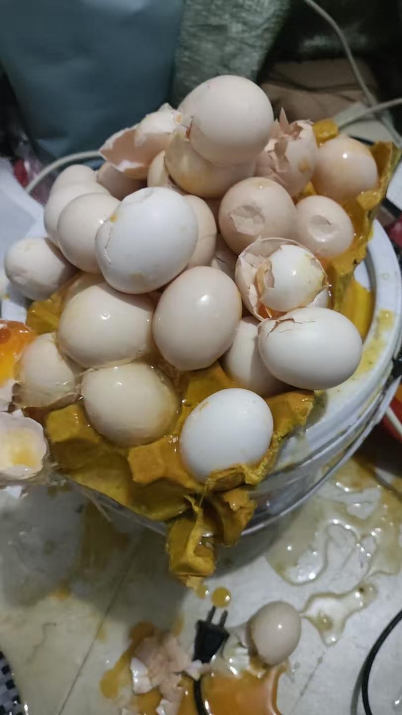 又是悲催的一天！！[大哭][大哭][大哭]刚买的鸡蛋，刚到车库箱子底掉了，全部碎