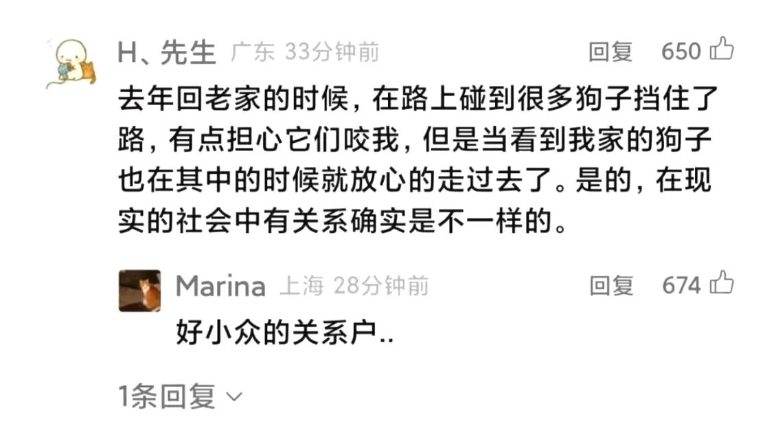 好小众的关系户啊！没关系连走个路都胆战心惊！