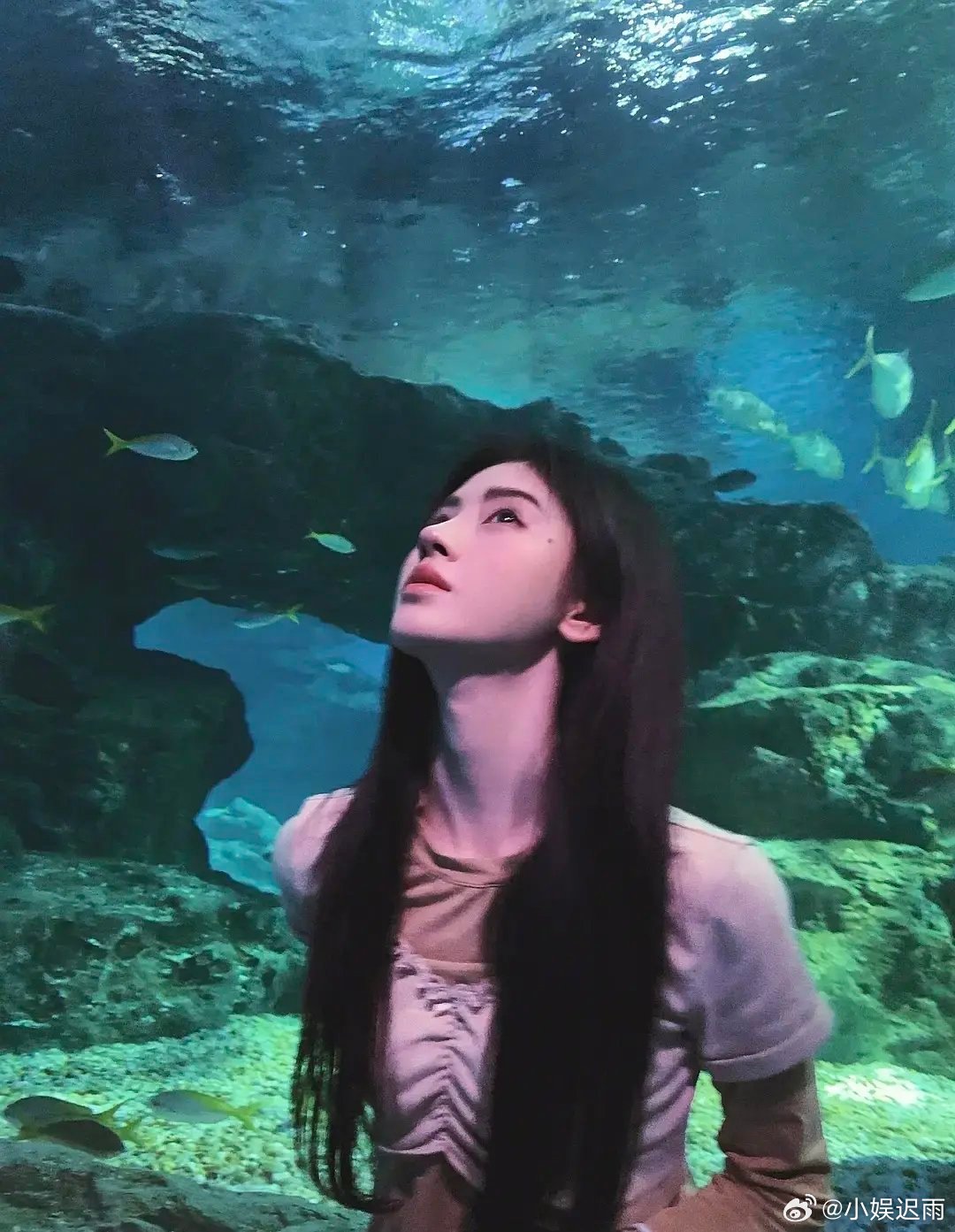 赵露思鞠婧祎谁更科技