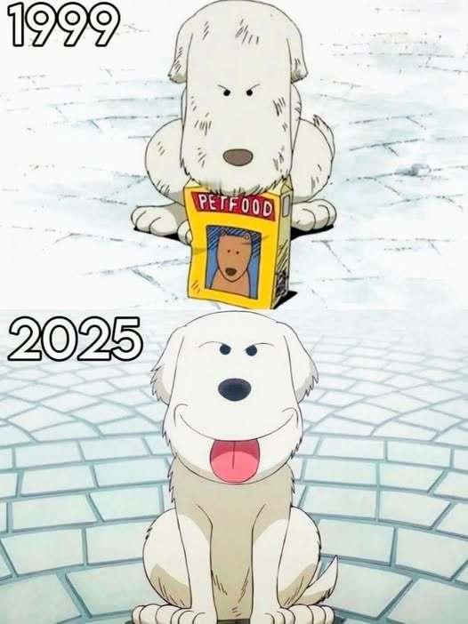 海贼王海贼王咻咻好萌啊！