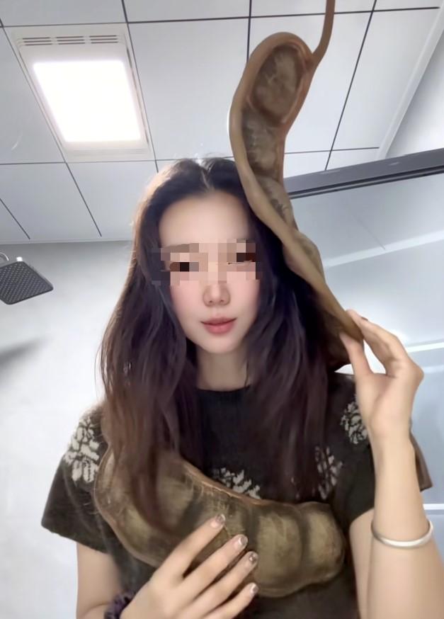 据红星新闻、极目新闻报道，一段辽宁大连女子在云南普洱购置巨型豆荚，携其搭乘航班返