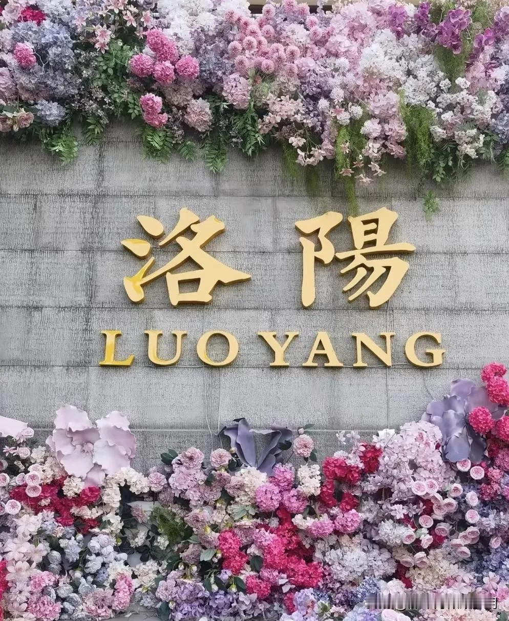 洛阳女孩面临人生抉择。女孩，25岁，北京985大学研究生毕业。她拿到了两份of