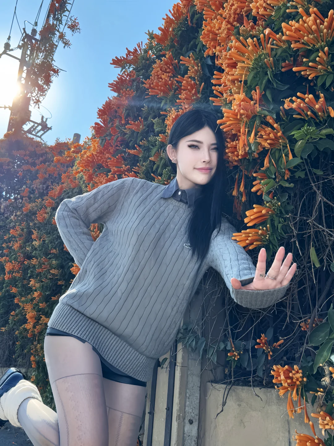 金灿灿的炮仗花开了！治愈整个冬天💛