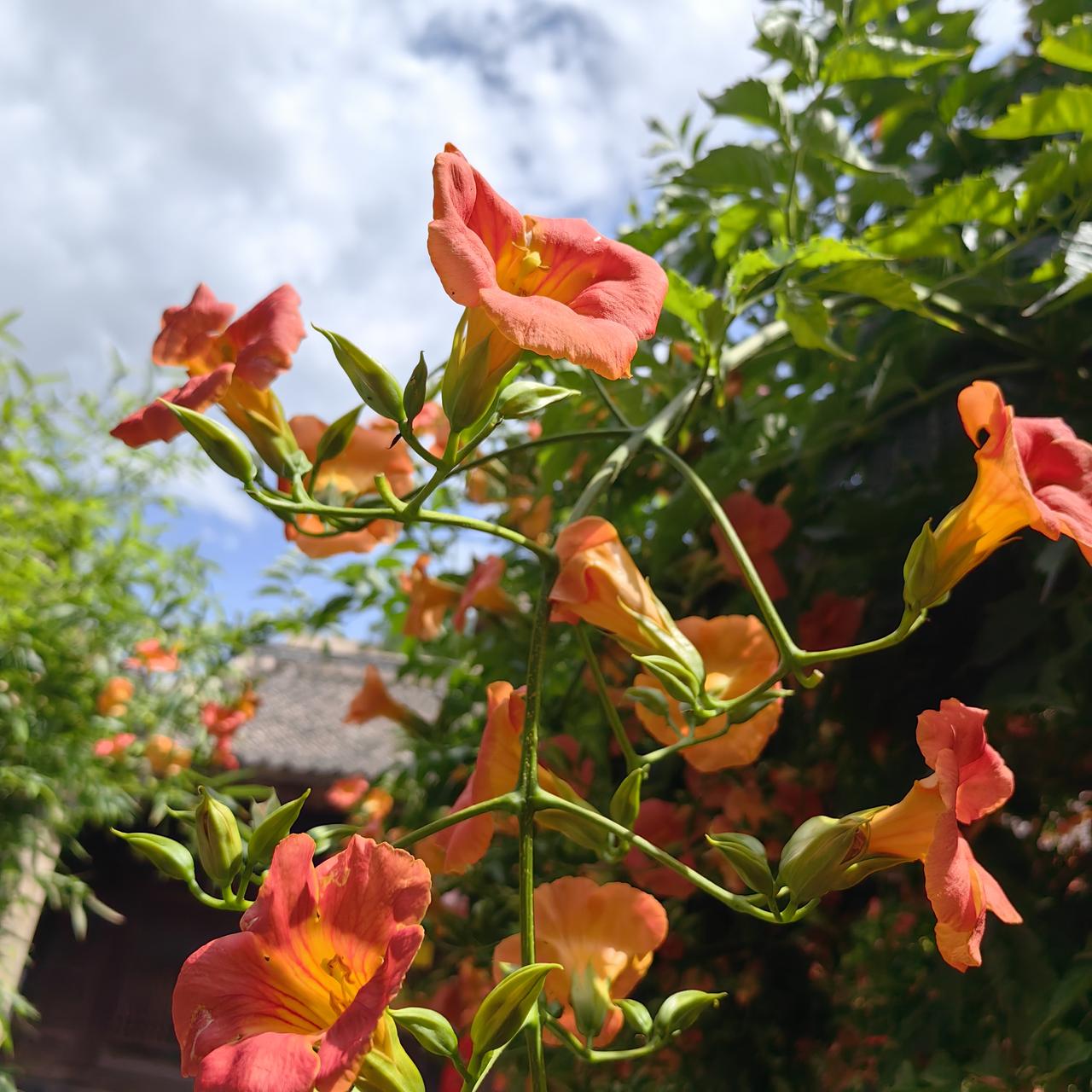 现在的孩子真幸福,生个孩子都是给父母生的。邻居马哥刚退休一年,儿媳妇怀孕了,