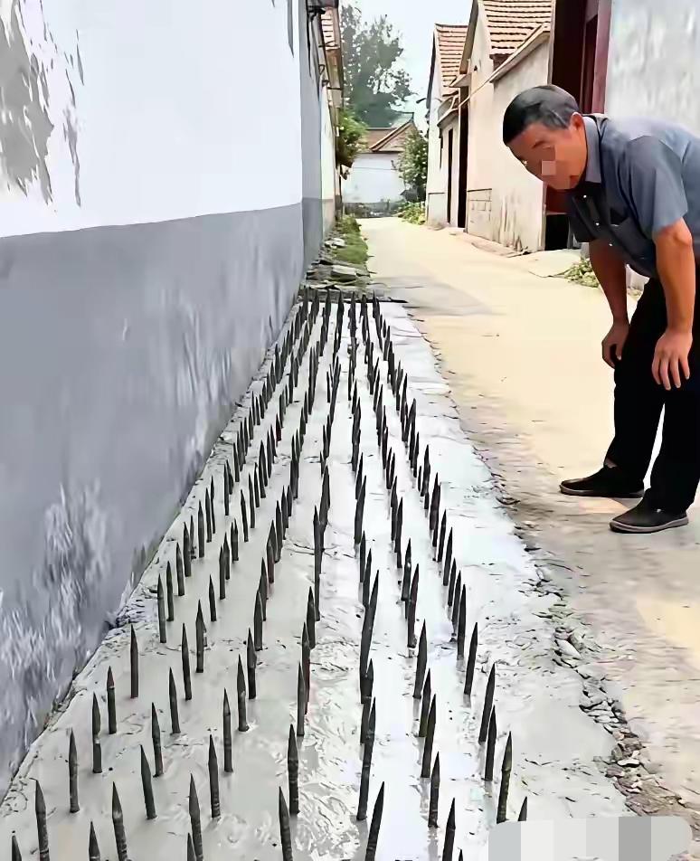 看来在农村这样的做法并不少见。看着照片都让人毛骨悚然，都让人胆战心惊，这要是