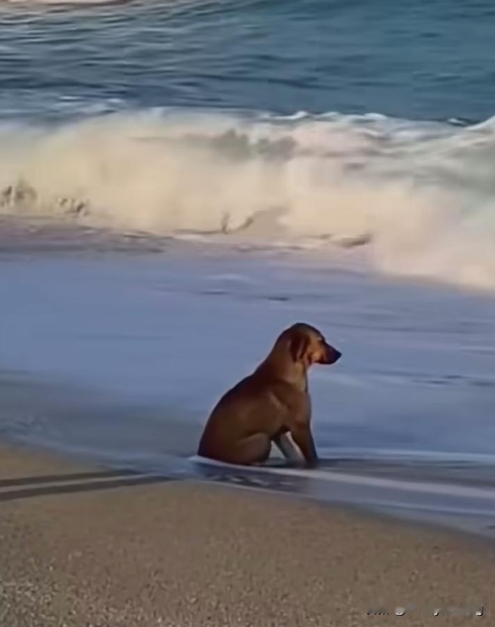 运动的终极目的应该是滋养生命。过来四十岁后我渐渐的放弃剧烈运动，之前的篮球足球羽