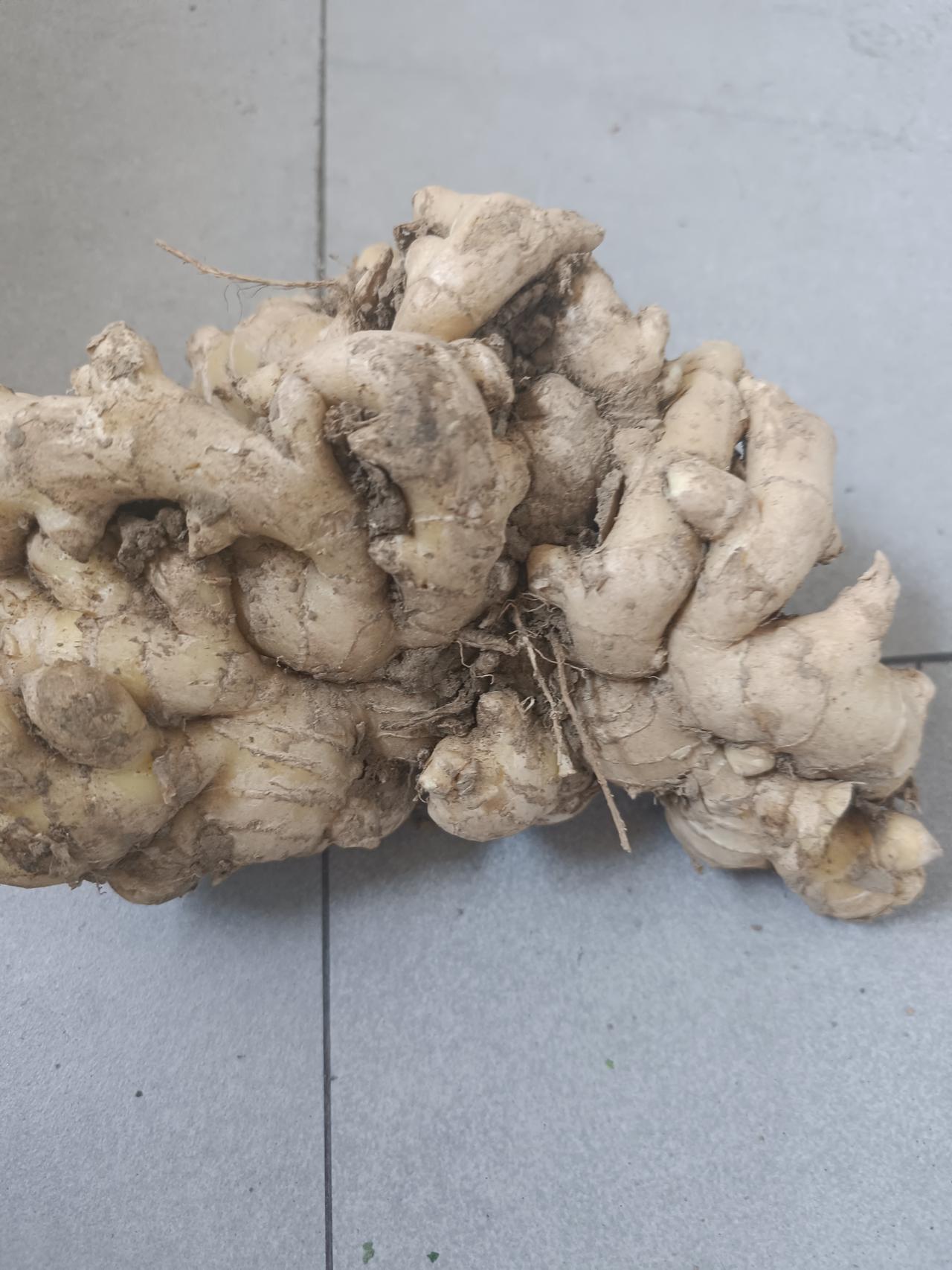 家庭主妇太难了今天特别生气，中午饭都没吃，都怪自己太善良，伺候一家人还不落好