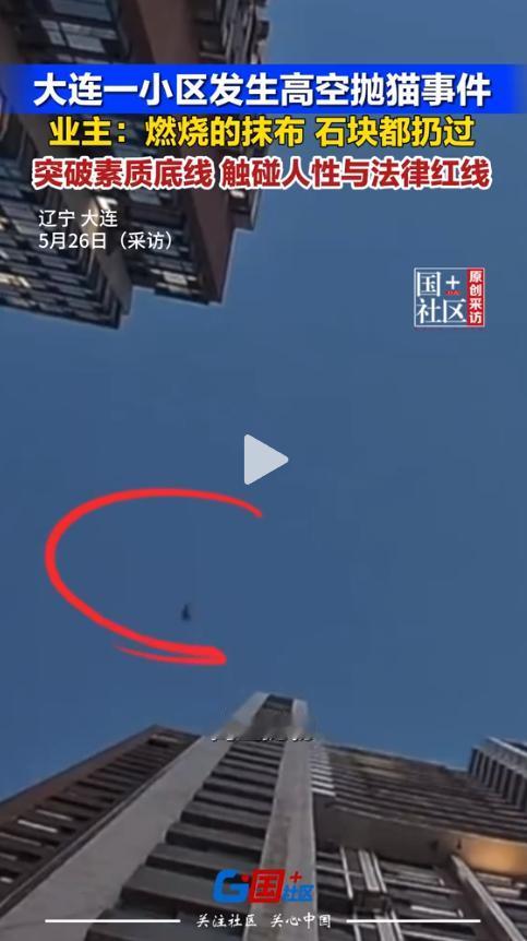 人心，真的能冷到这种地步吗？辽宁大连城润万家小区。一只猫被人从20层以上的高楼狠