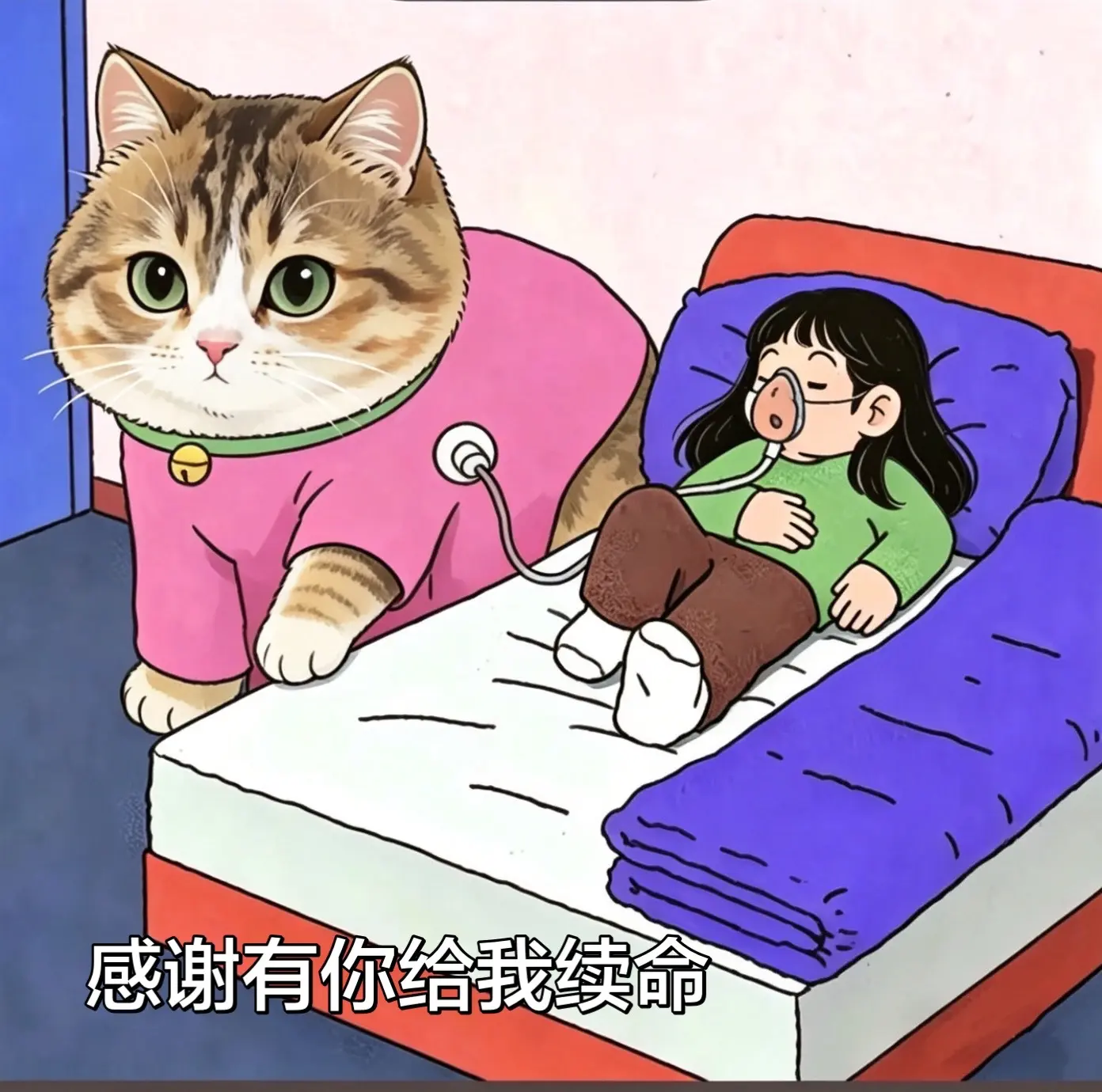 只有养猫人才懂，猫咪是我的精神寄托。