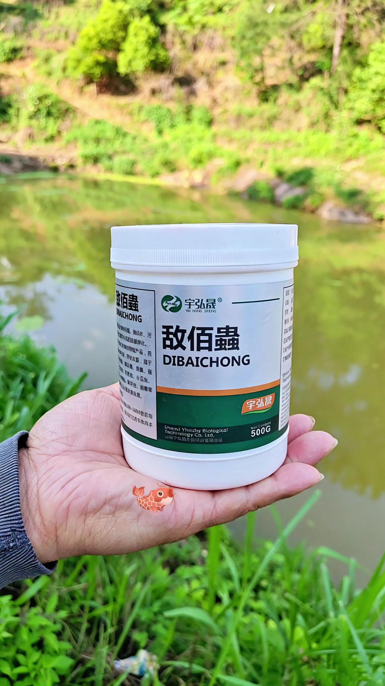 敌佰蟲鱼塘养殖鲢鱼鲤鱼草鱼