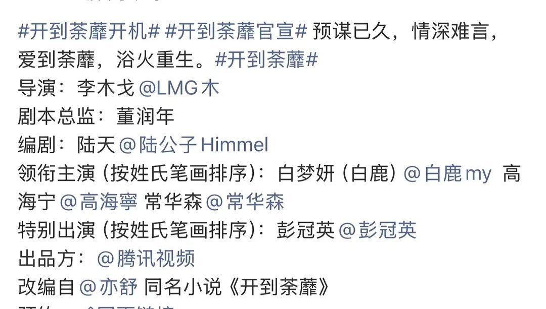 田曦薇的赢家，白鹿的茶糜，陈都灵的冬风，哪个班底更好？