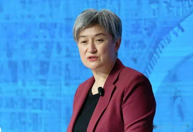 站在菲律宾！澳外长一语惊人：承认中国军力，但要中方“澄清报备”一下在菲律宾