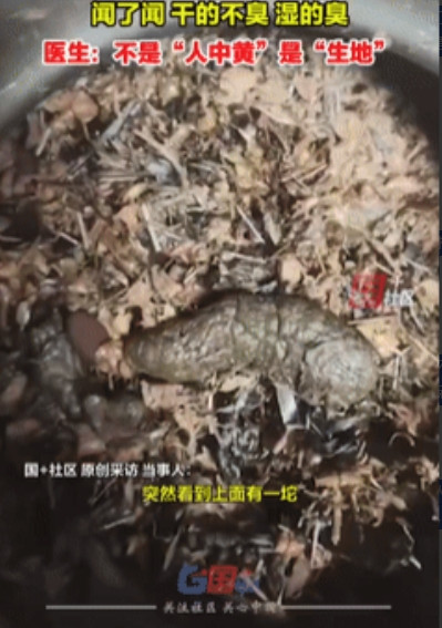 “恶心坏了！”河南安阳，一女子开了几幅中药回家熬着喝，倒药渣时却发现有一坨直愣愣