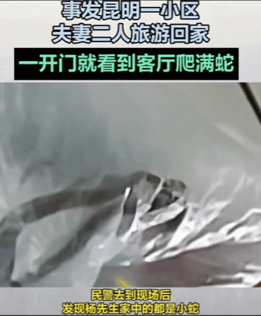 云南昆明，一对夫妻旅游回家，刚一开门，脸都吓白了！客厅里竟然到处都是蛇，这不知道