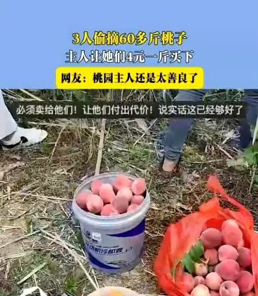 “这样的女子上哪找！”6月9日，安徽，三个人偷了女子60斤桃子，她没有报警，而是
