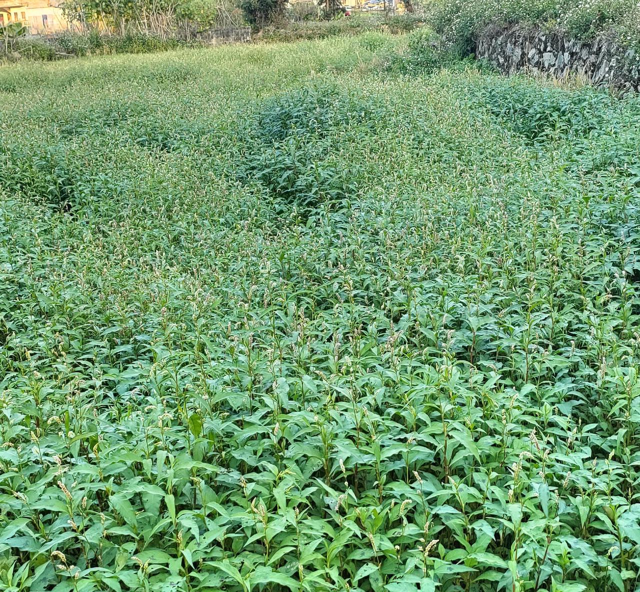 父母再光鲜，孩子不争气，一切归零：揭示最令人唏嘘的家庭真相浙江温州的陈老板