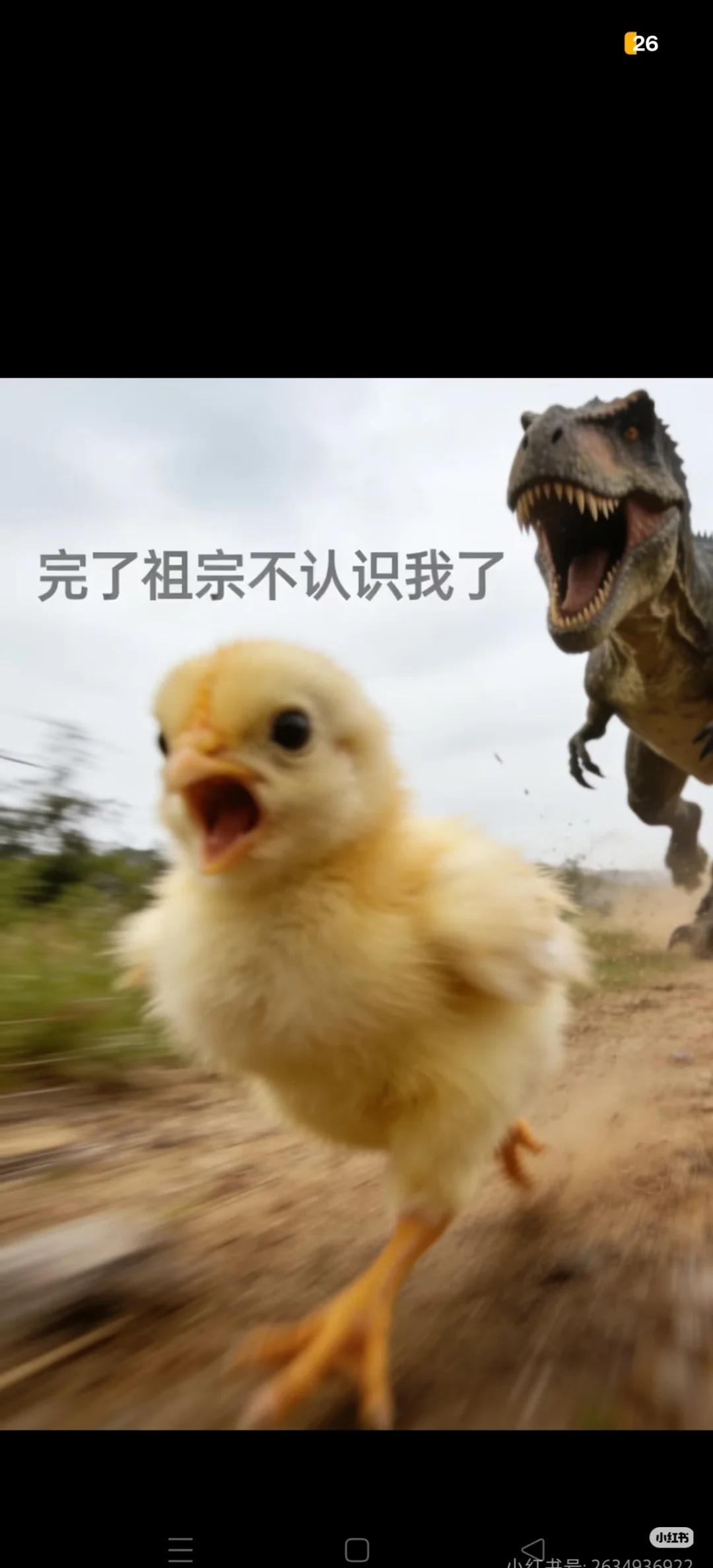 梗图合理但有病人间真实