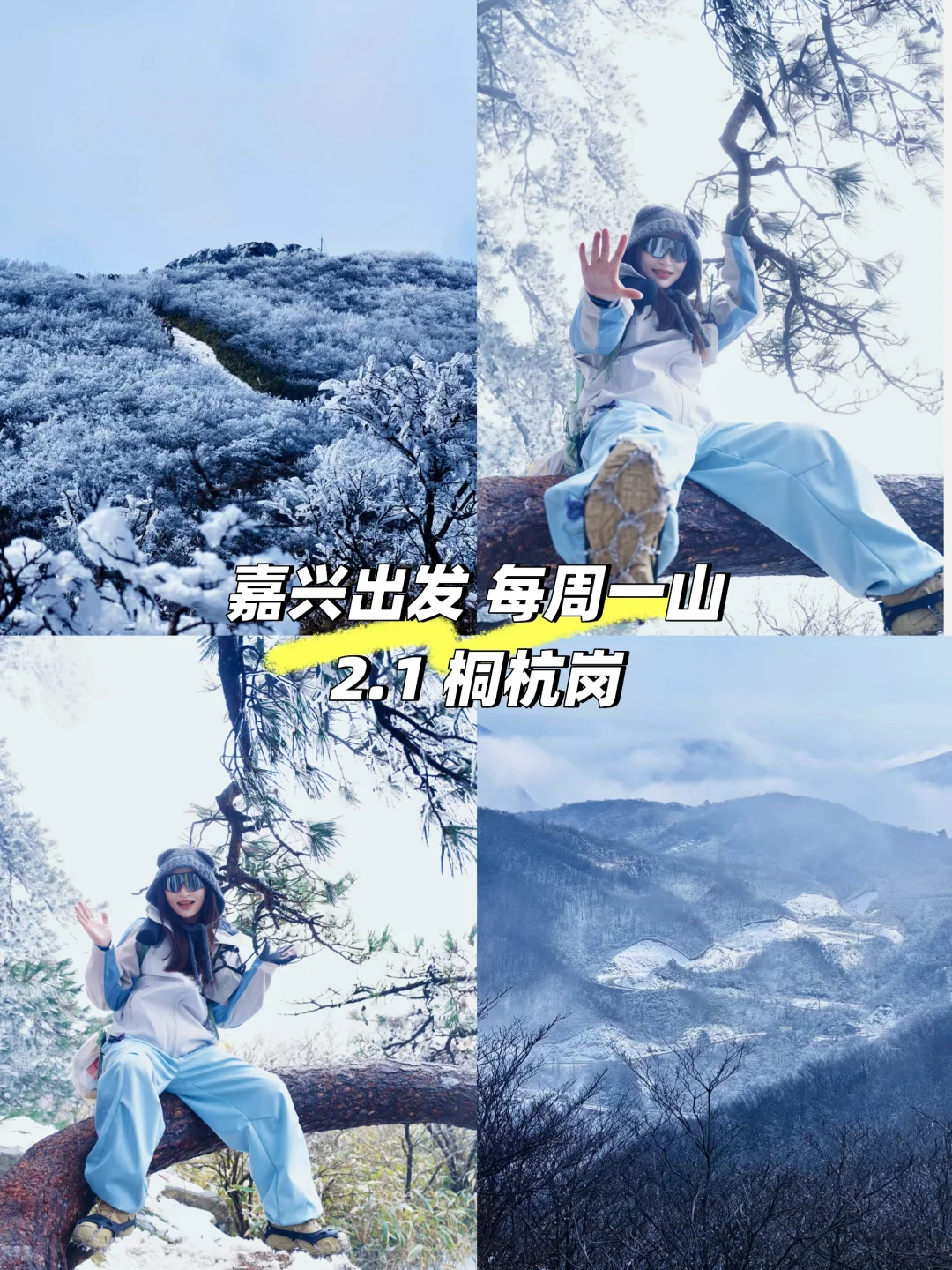 桐杭岗6km轻徒步｜新手也能冲的冬日雾凇秘境