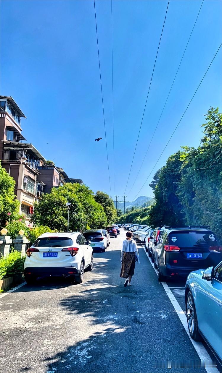 今天是八月三号，闰六月初十，周日。下午三点的时候，我身处贵州海拔1240米的