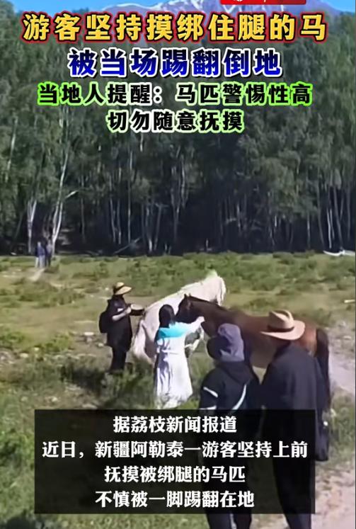 手太欠了！7月26日报道，新疆阿勒泰，两名女游客看到绑着腿的马非要凑上去拍照，当