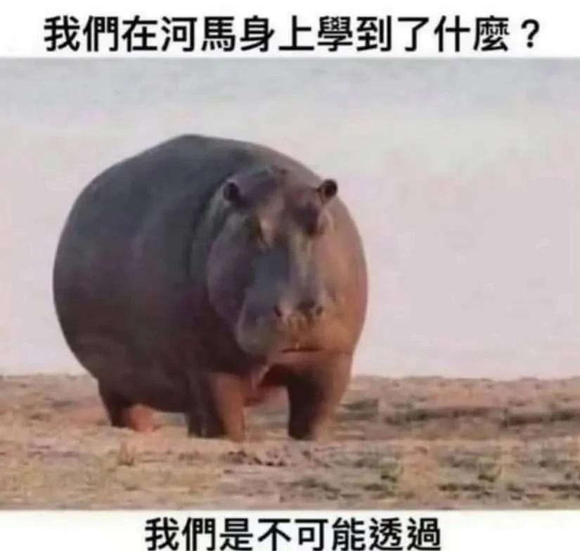 学到了！[捂脸哭][大笑]